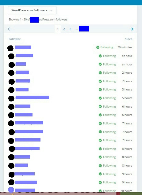 The blog has been kicking it this week