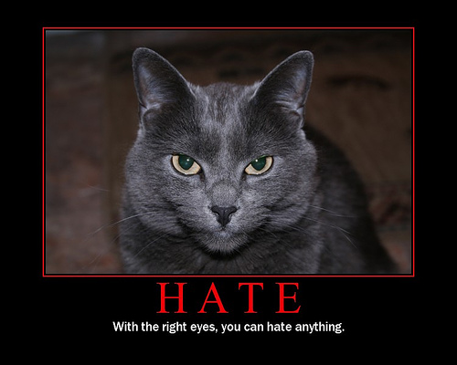 00 hate cat 3