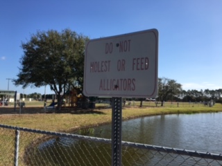 00 do not molest alligators.JPG
