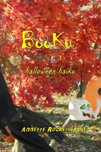Booku_Cover_for_Kindle