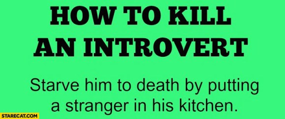 how-to-kill-an-introvert-starve-him-to-death-by-putting-a-stranger-in-his-kitchen