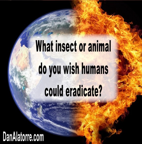 FB engagement meme (15)